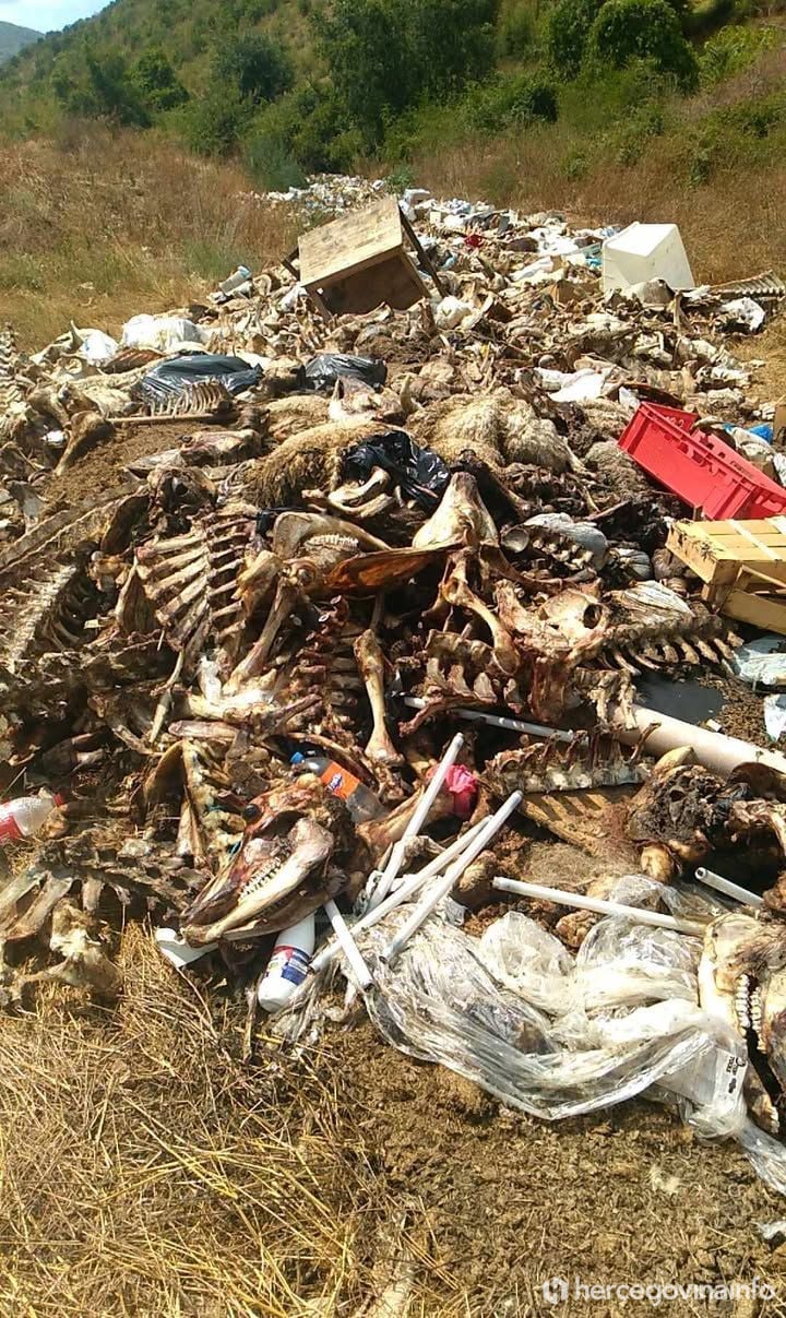 Ekološki skandal u Stocu: Animalni otpad zatrpava kanjon Bregave, gradonačelnik šuti