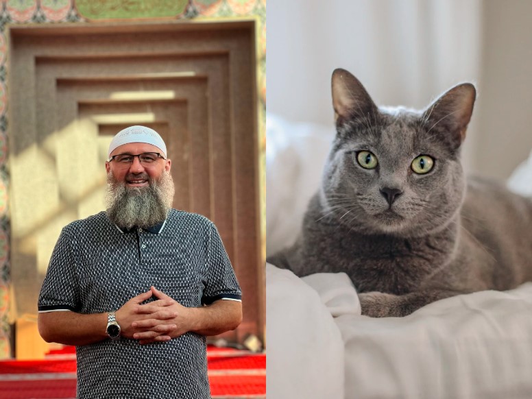 Hafiz Elvedin Pezić upozorava: Netačne tvrdnje o "sunnetu držanja mačaka" šire se internetom
